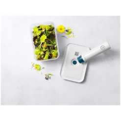 Zwilling Vacuümdoos L, Kunststof, Semitransparan-La-Mer Blauw -Heet Kook Verkoop 272663 ZWI BOX Plastik L Top V4 0002